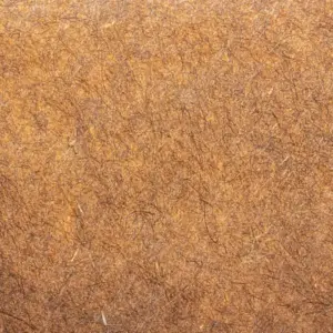 Hemp